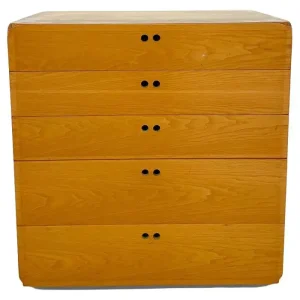 Mid Century Modern Chest of Drawers by Derk Jan de Vries