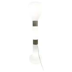 Mid Century Modern Floor Lamp by Carlo Nason