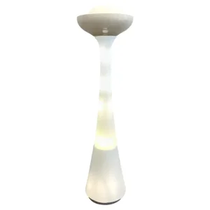 Mid Century Modern Floor Lamp by Carlo Nason for Selenova