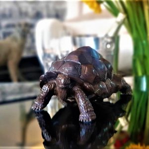 "The Giant Tortoise of Aldabra" - Signed Bronze Sculpture by Damien Colcombet