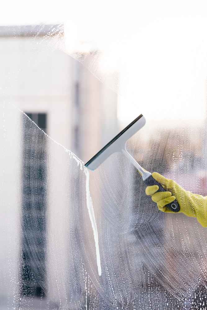 Detailed Window Cleaning