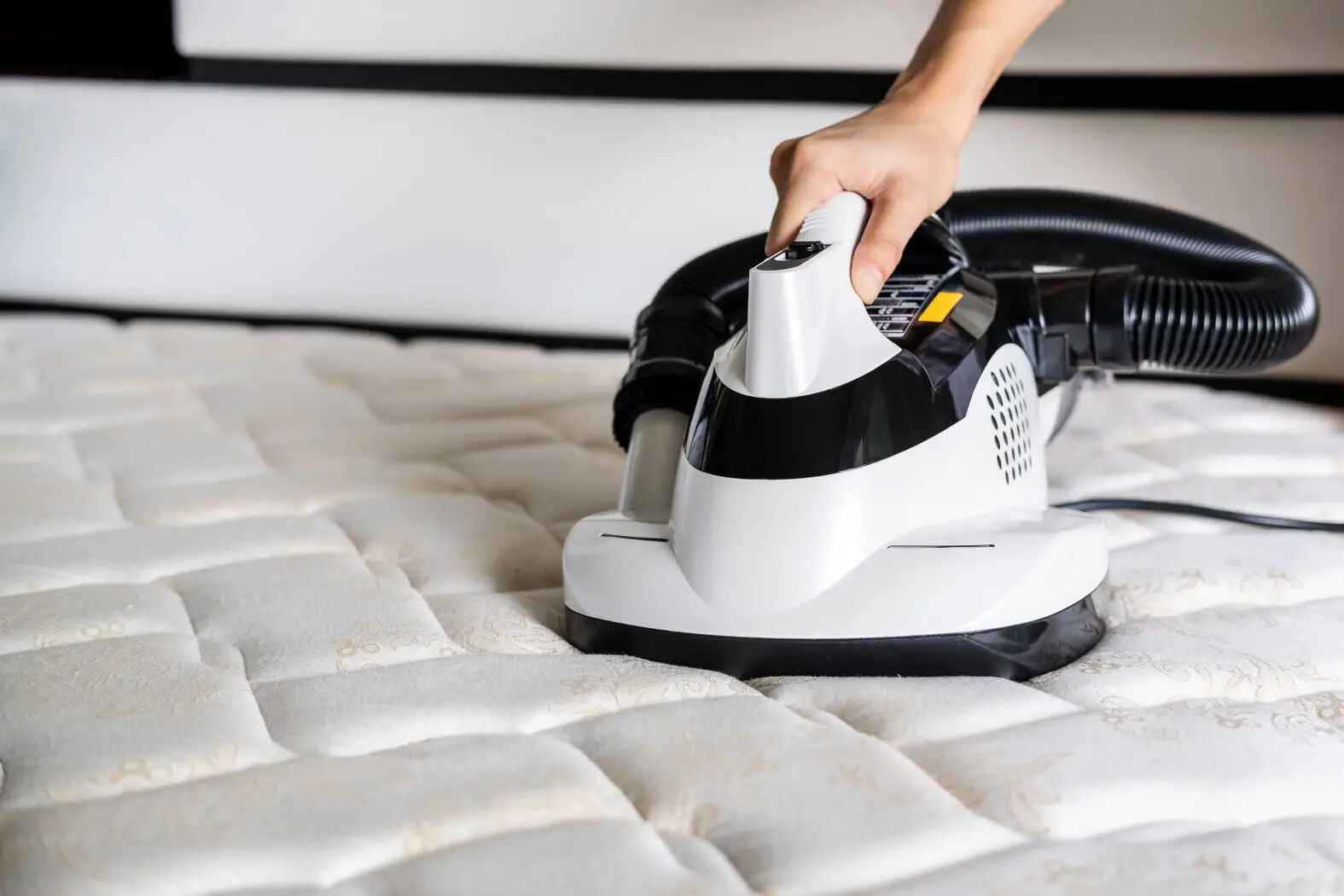 how-to-clean-a-mattress-services